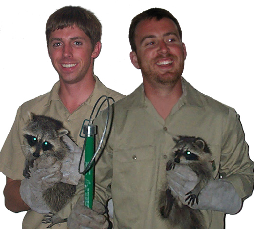 Wildlife Removal and Pest Control Services Lake County IL - Animal Control  Specialists